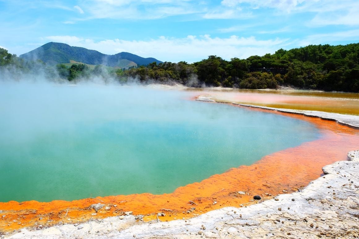 Rotorua Auckland