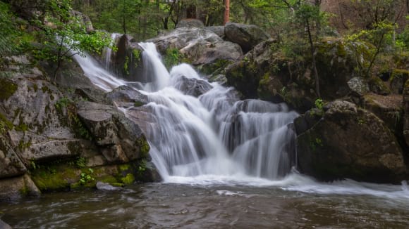 Oakhurst, Yosemite 2