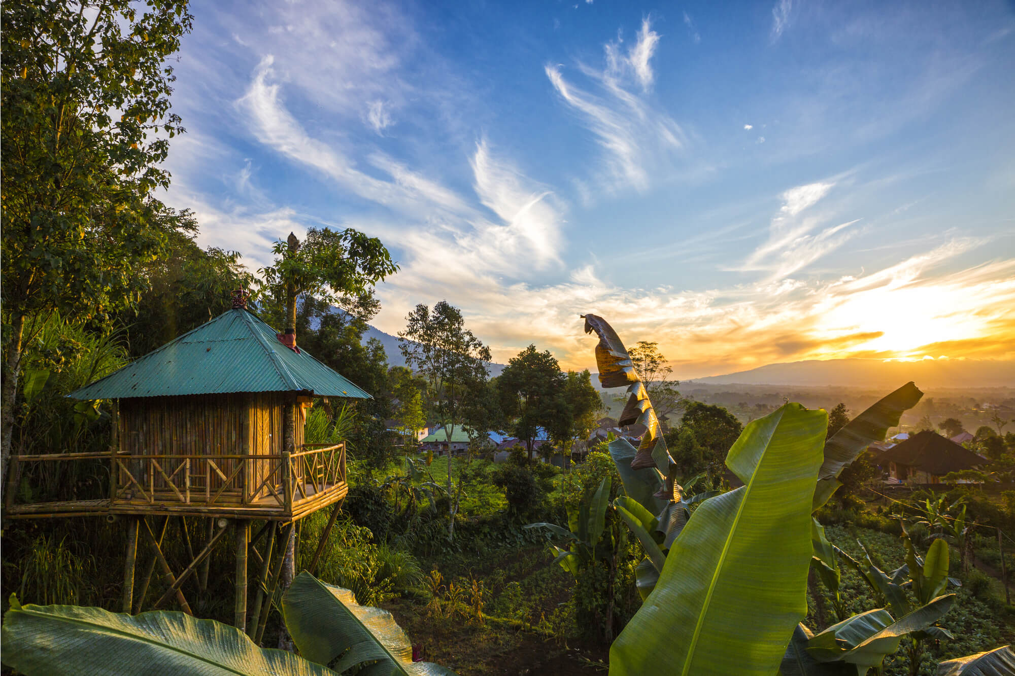 Sunset treehouse accommodation found with a booking site like Airbnb