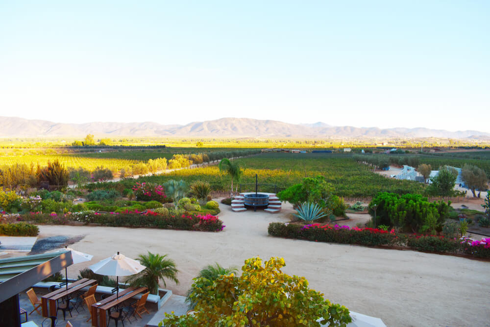 Valle de Guadalupe Ensenada