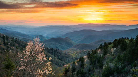 Cherokee, Great Smoky Mountain National Park 1