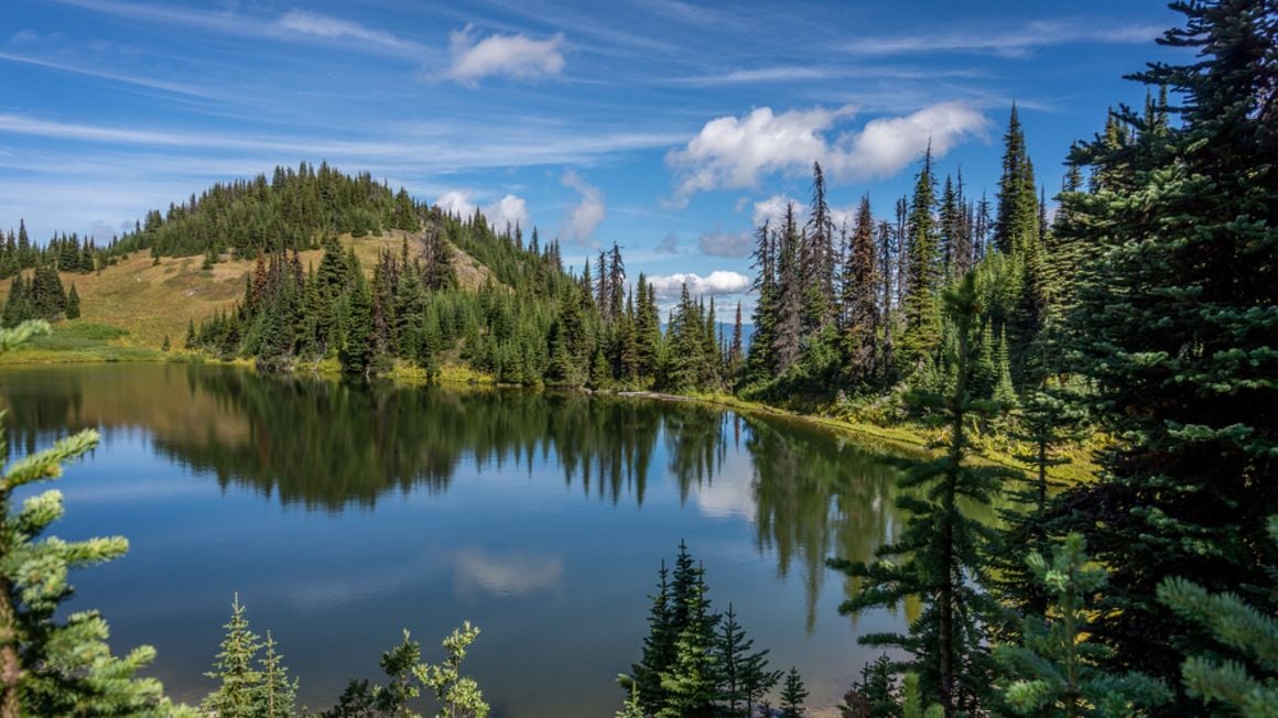 Sushwap RIver, Sicamous, Revelstoke