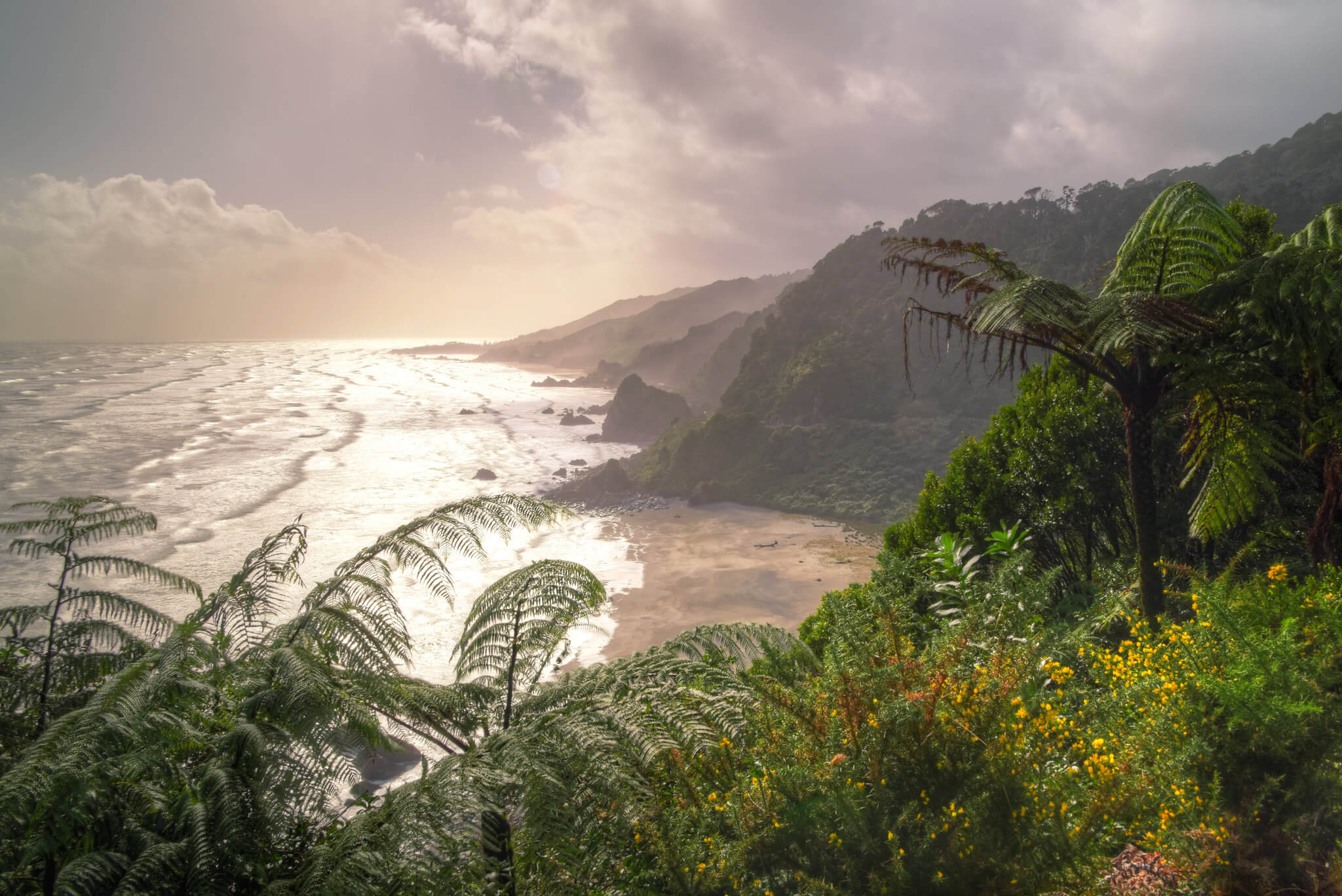 A view of the West Coast ferns and beach while driving the South Island of New Zealand