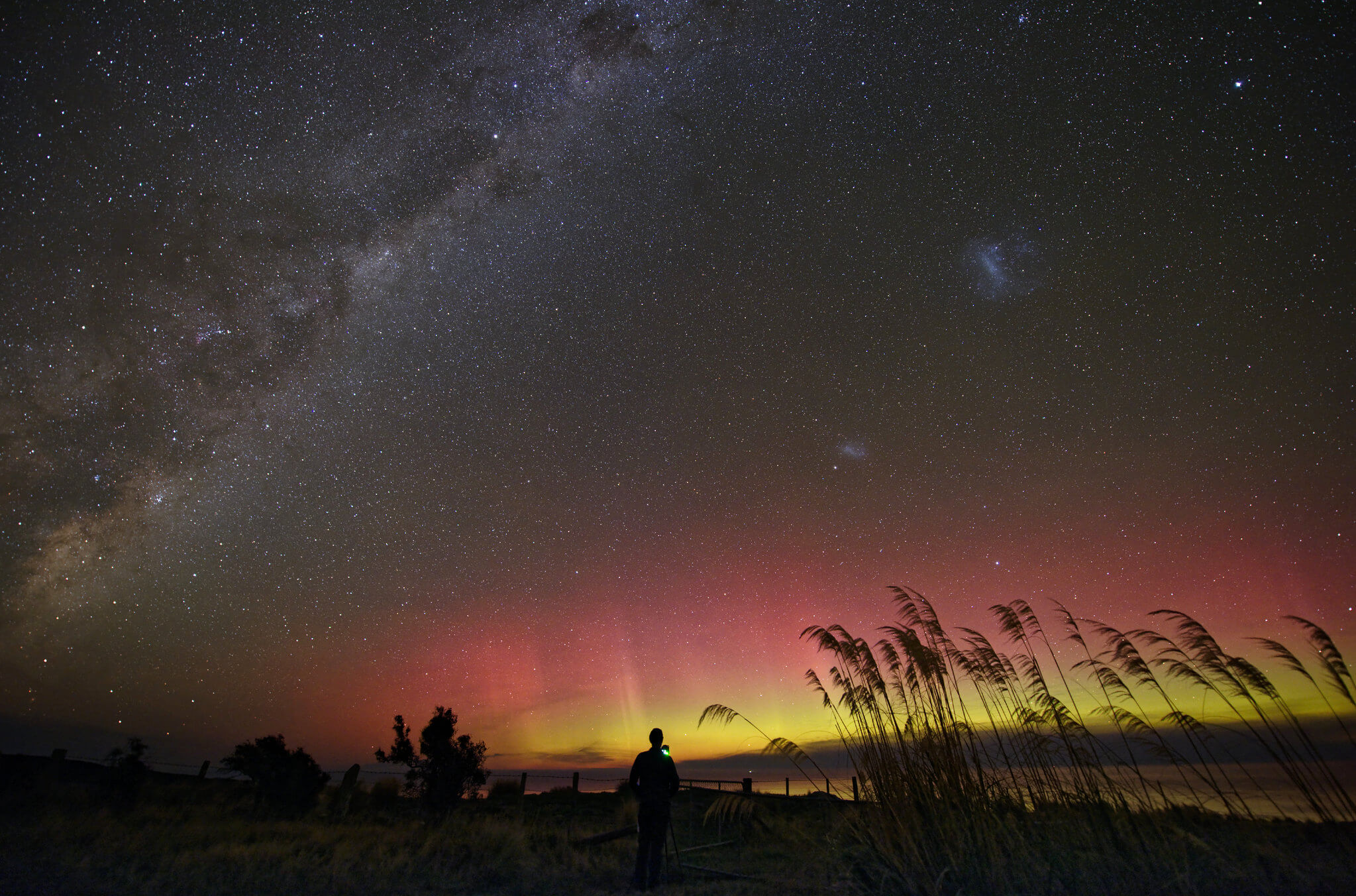 Southern Lights (Aurora Australis) and Milky Way seen while driving the south coast of New Zealand
