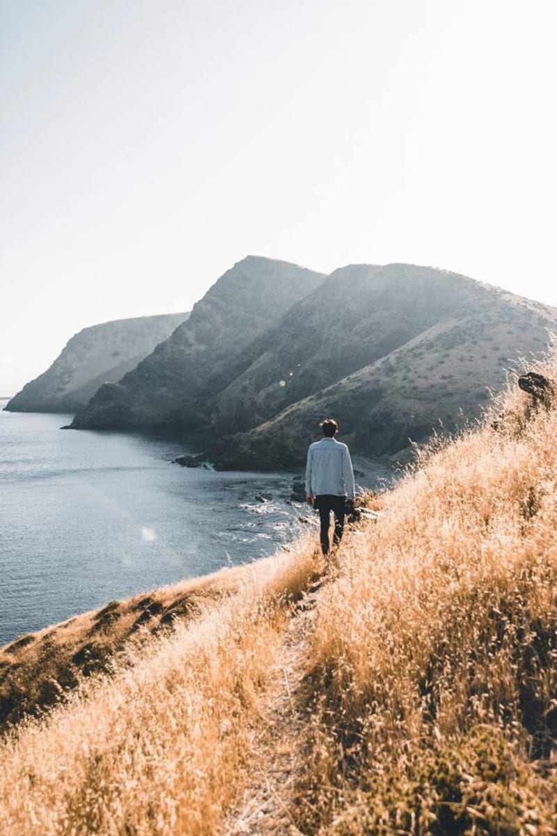 A Winter Adventure Whales Wildlife Coast