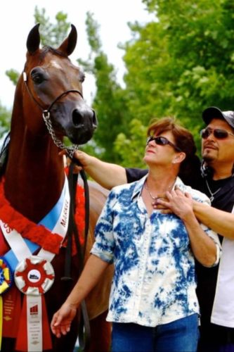 Afternoon with Arabian Horses Scottsdale