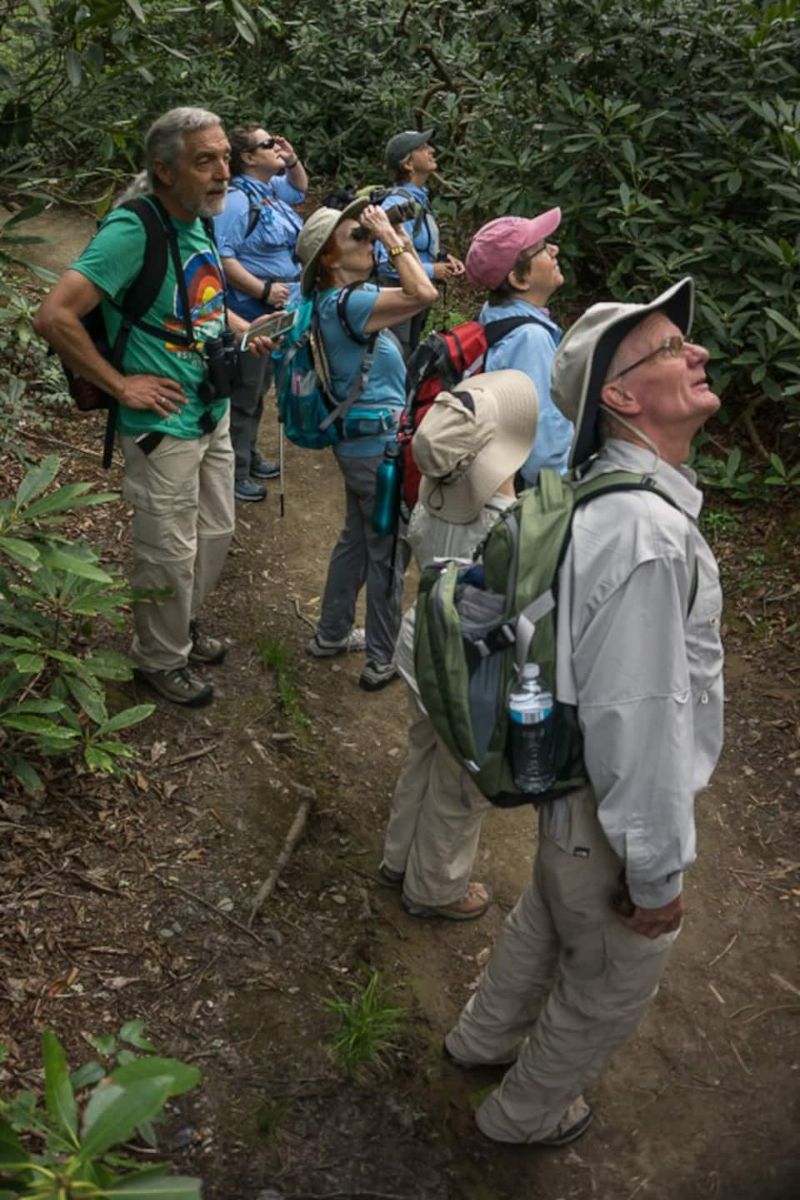 Bird Watching for Everyone Gatlinburg