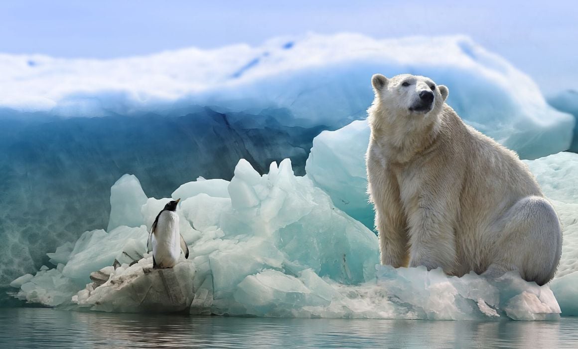 Christmas in Antarctica