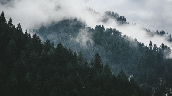 swat pakistan