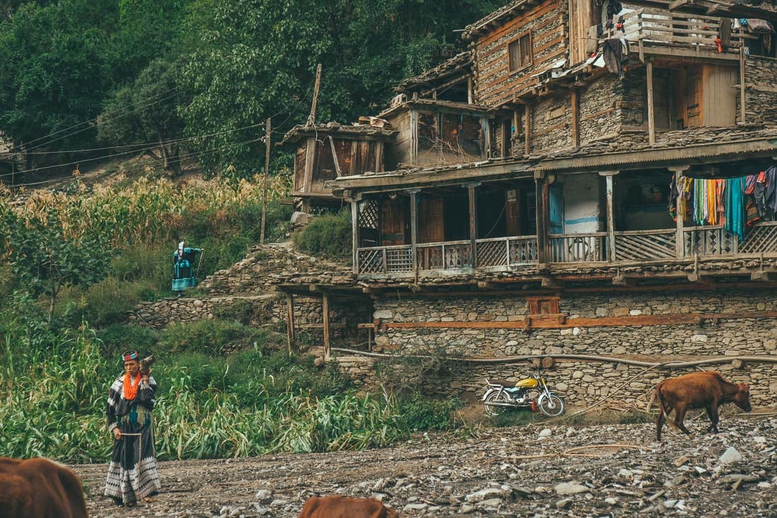 woman in traditional clothes and her cow in the kalash valleys seen while backpacking pakistan