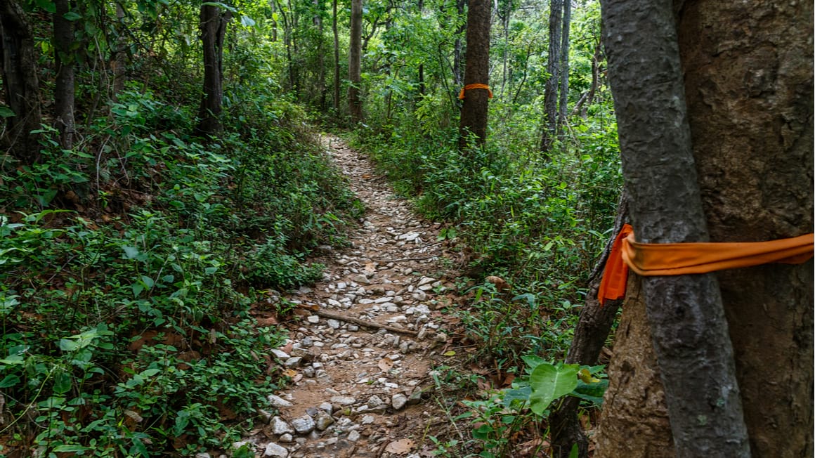 Doi Suthep Monk Trail The Best Day Hike in Thailand