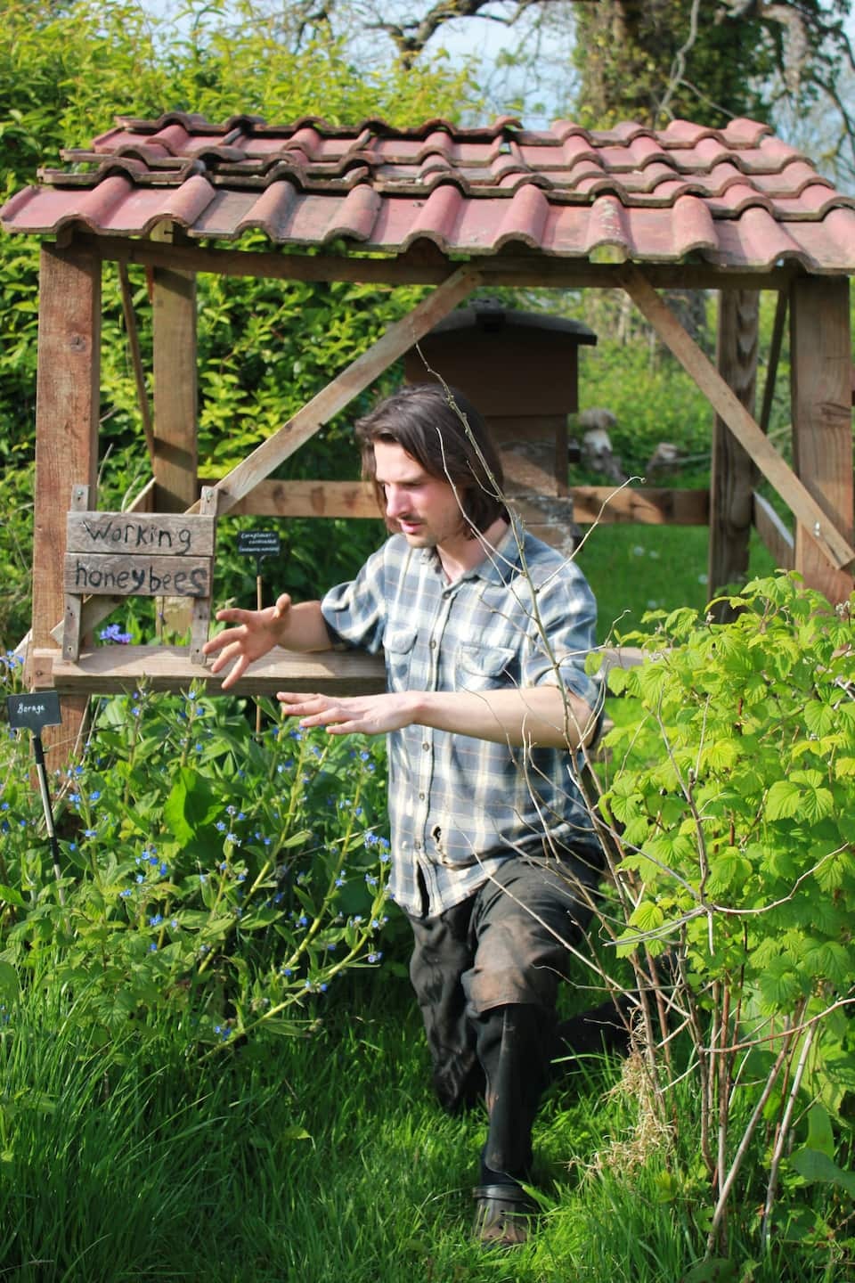 Forest Garden Tour Bristol