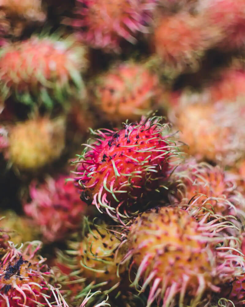 Fruit Tour of Paloquemao Market