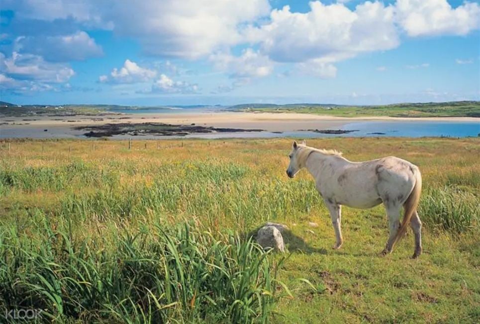 Galway Inishbofin Island Trip Ireland Holidays