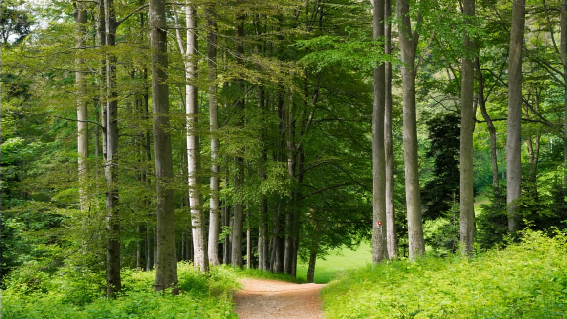 Medvednica Nature Park Loop Off the Beaten Path Trek in Croatia