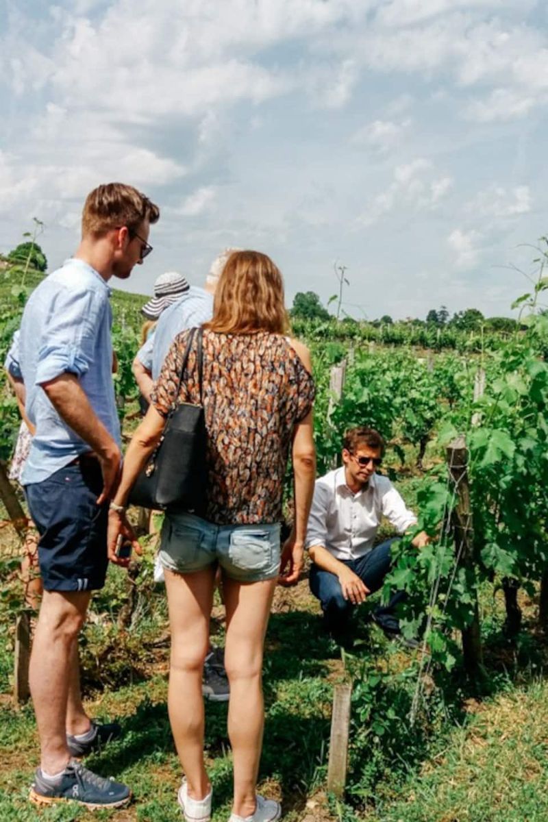 Morning and Breakfast Wine Tour in Medoc Bordeaux