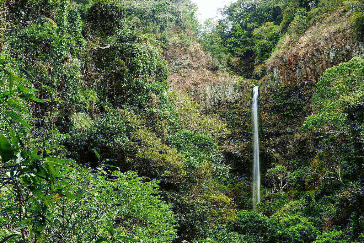 Northern Madagascar Explorer