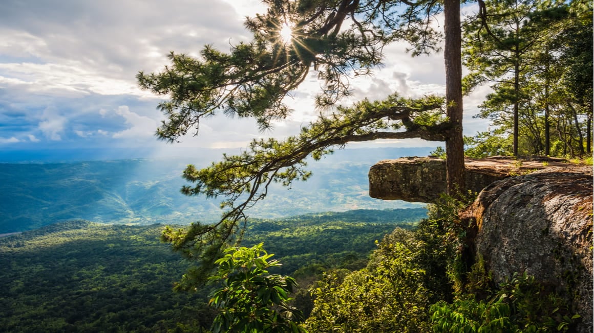 Phu Kradueng The Best Multi Day Hike in Thailand