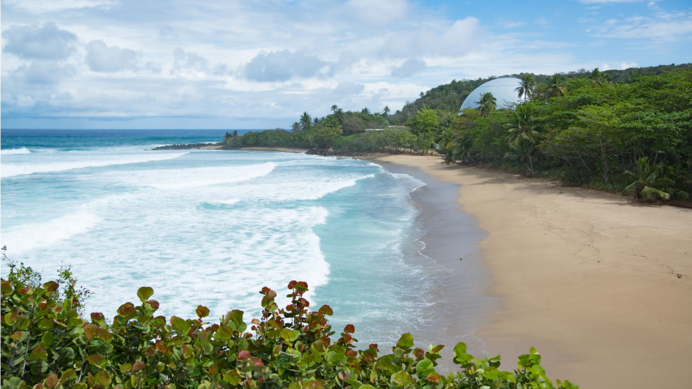 a lush rainforest like beach with bright blue waves rolling in in puerto rico