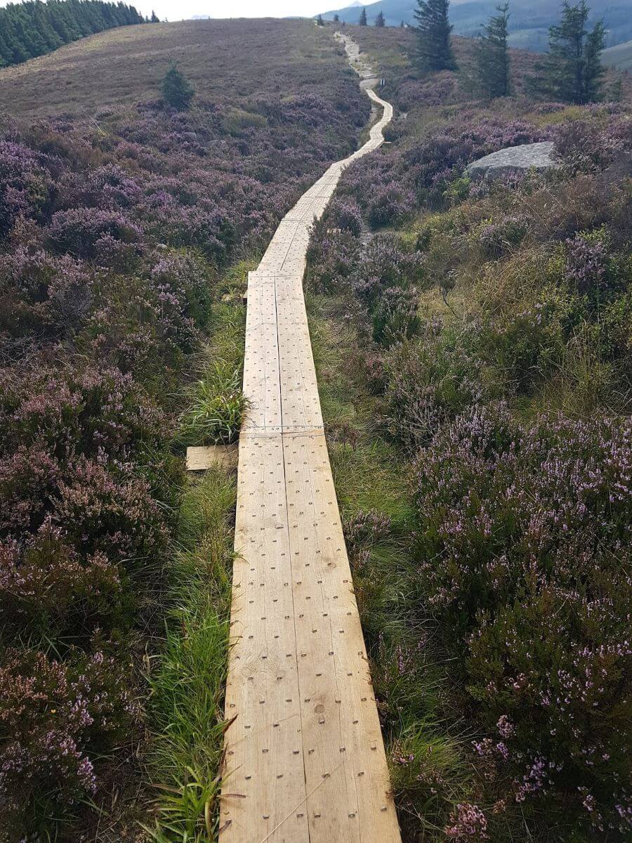 The Dublin Mountains Tombs and Trails Ireland Holidays