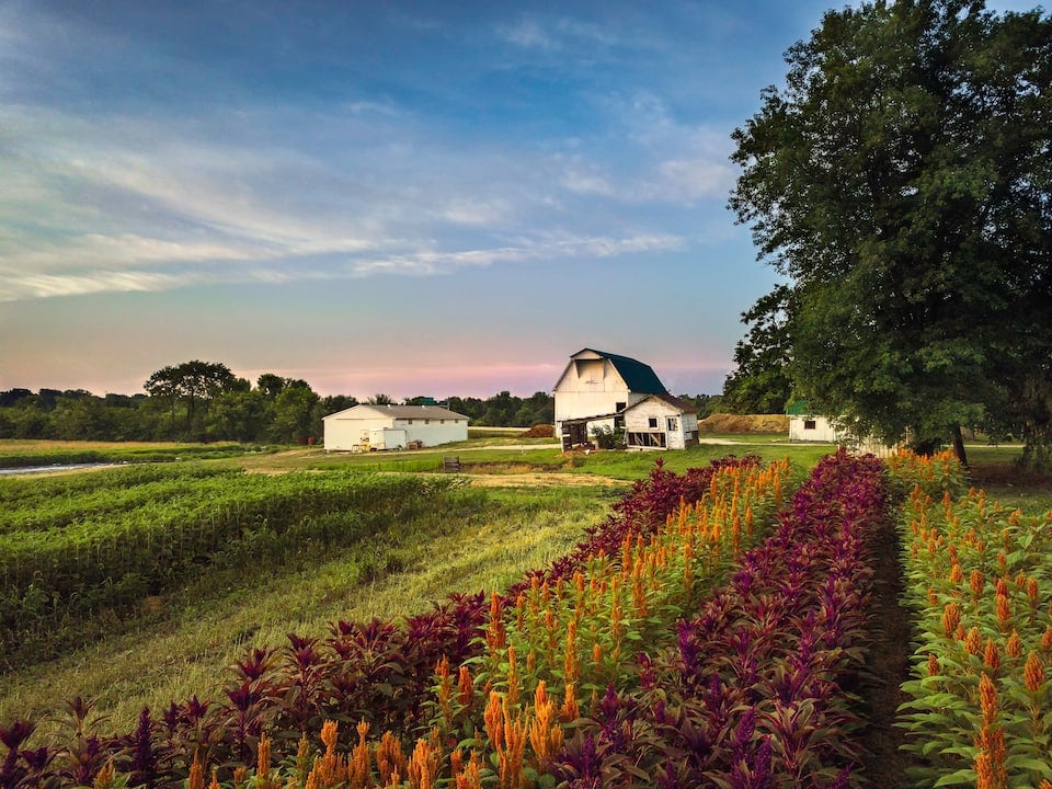 The Farmhouse at Hotel Tango Farms Indianapolis