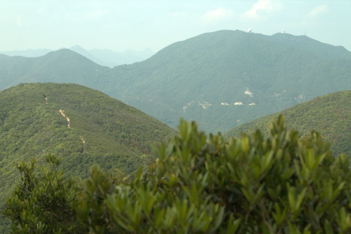 Twin Peaks Hong Kong