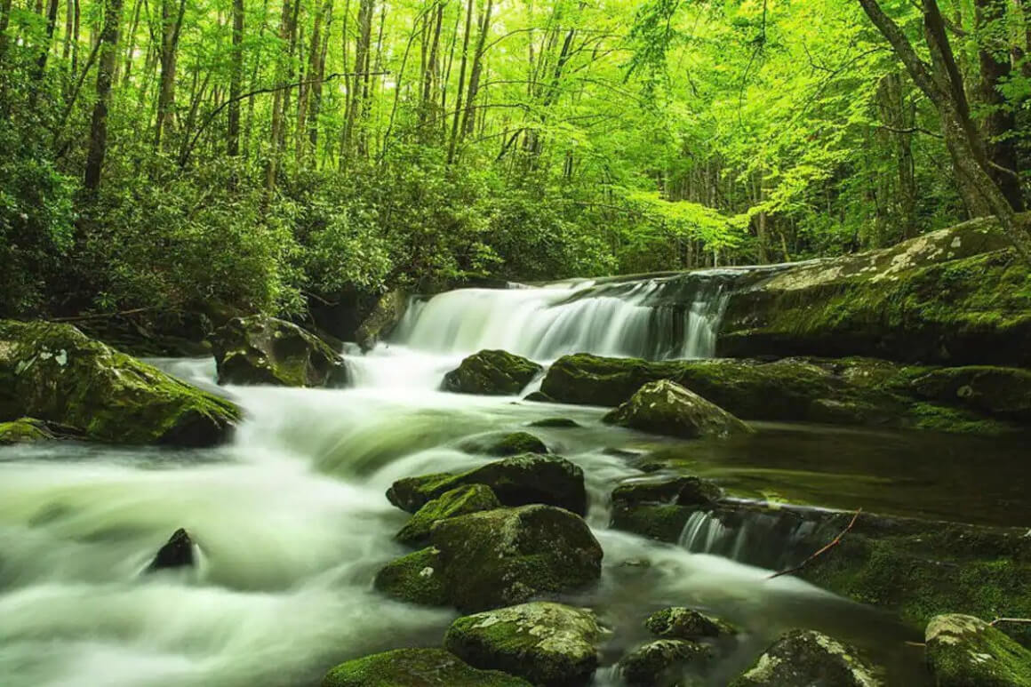 Waterfall Hike in the Smokys