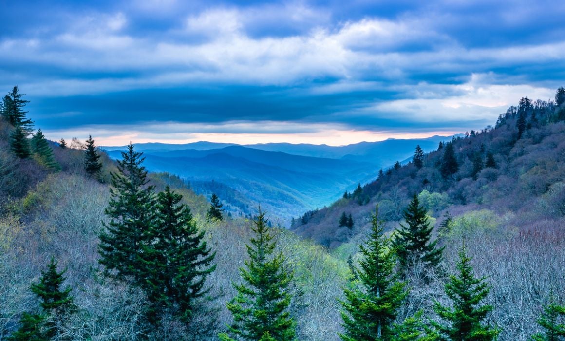 What to Expect from Airbnbs in Gatlinburg