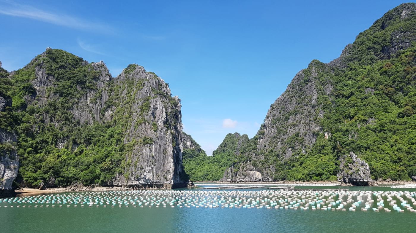 5 BEST Neighborhoods and Areas in Halong Bay (2022 Guide)