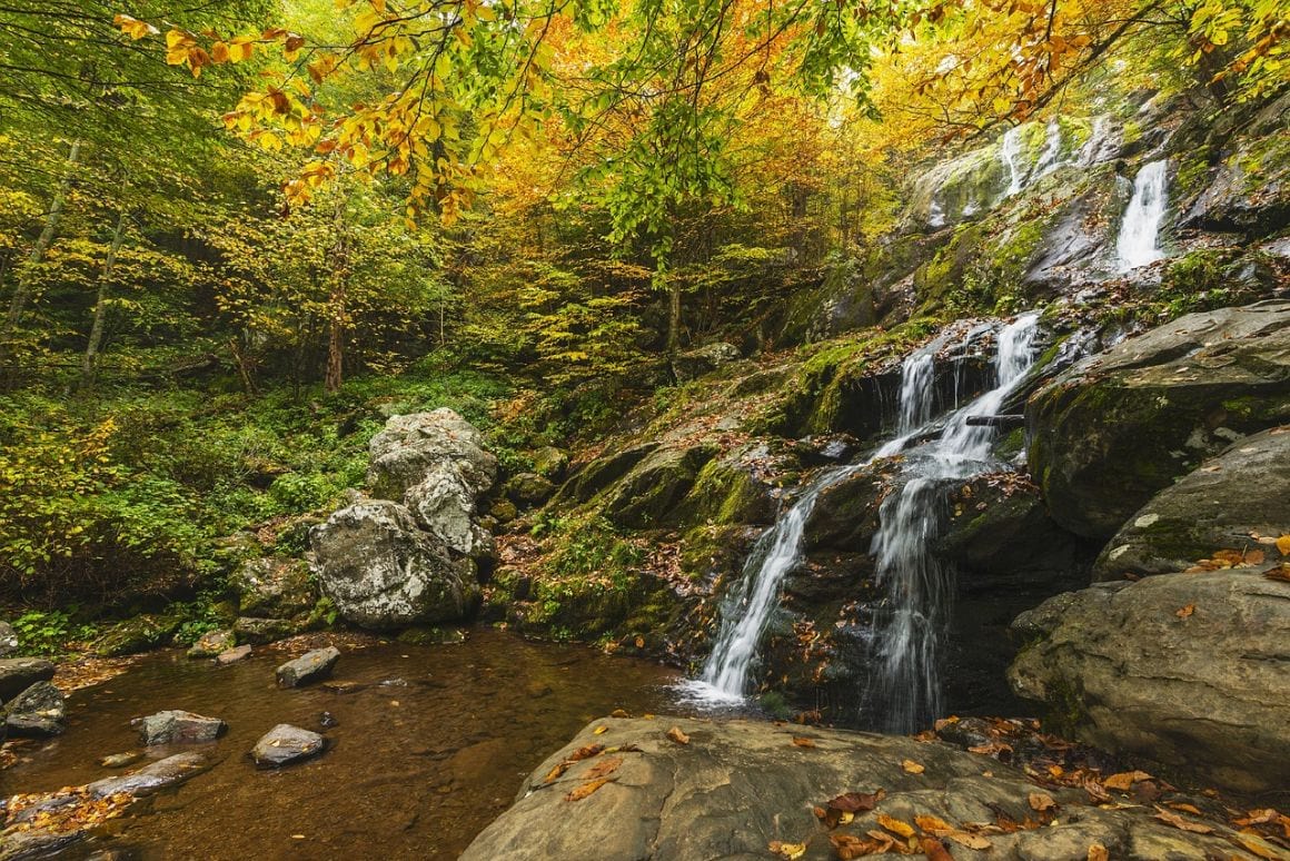 campinfsite in shenandoah