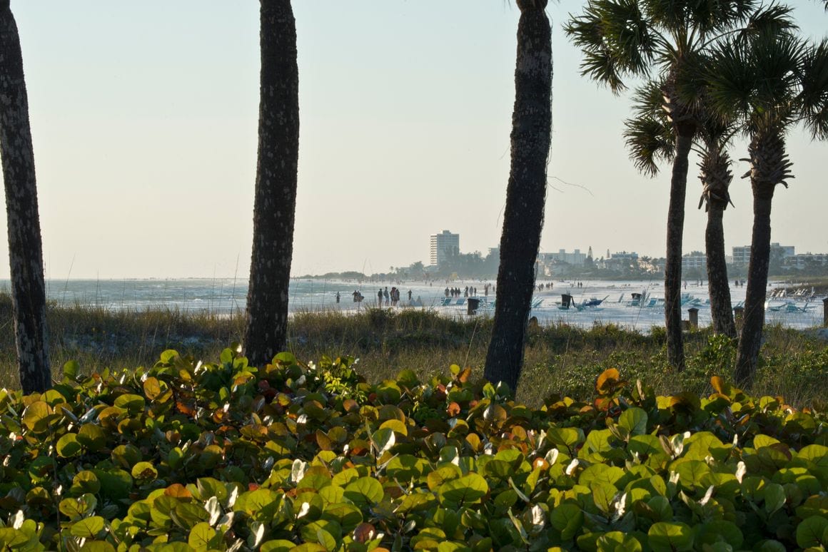 Crescent Beach Siesta Key