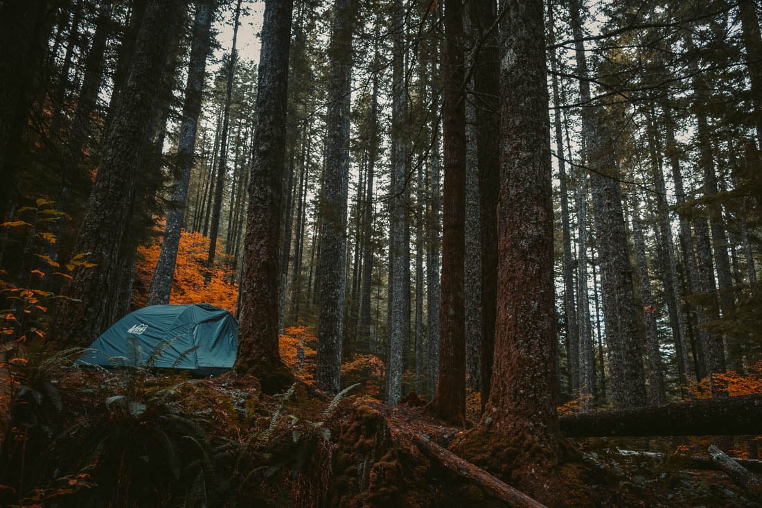 rei half dome 2 tent