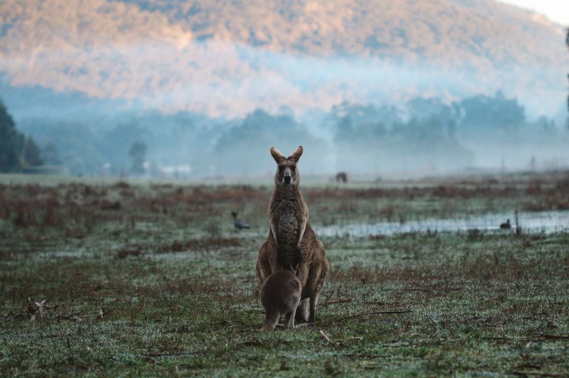 Halls Gap Australia