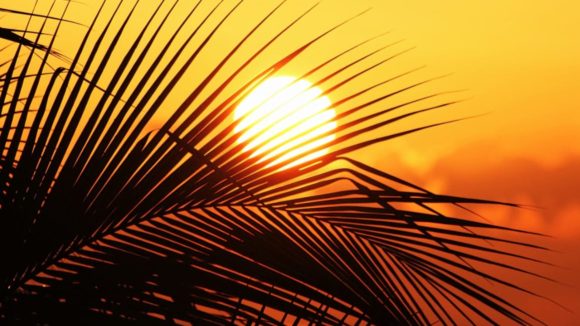 Jamaica Sunset