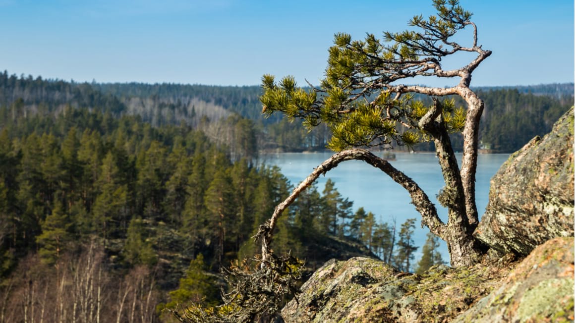 Kaakkurin Kierros Off the Beaten Path Trek in Finland