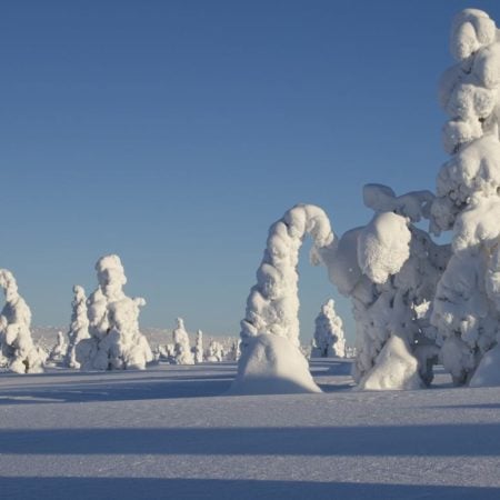 Luulampi The Best Day Hike in Finland