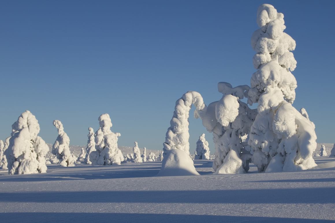 Luulampi The Best Day Hike in Finland