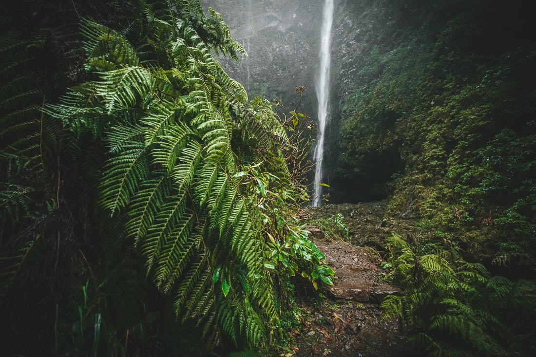 levada do caldeirão verde