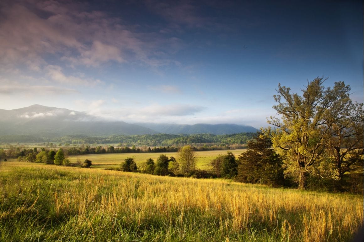 lush green Parkway near one of the best airbnbs in pigeon-forge