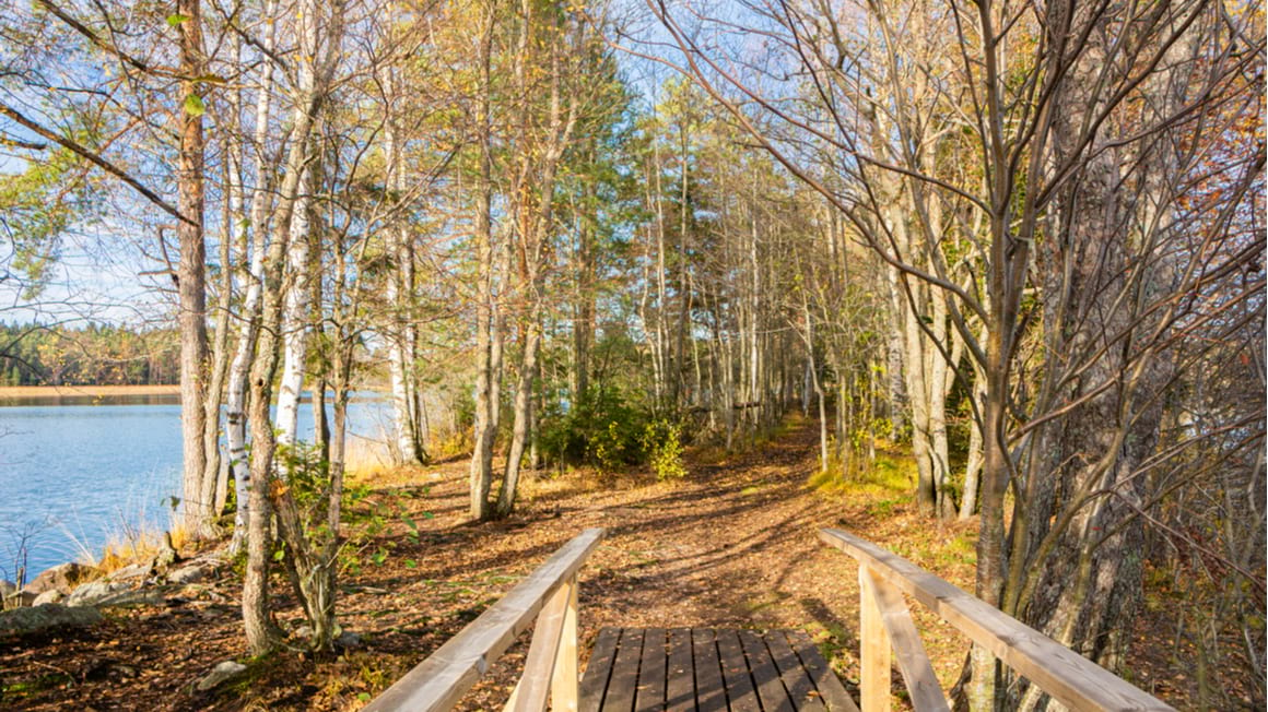 Pohjantikan Kierros A Fun Easy Hike in Finland