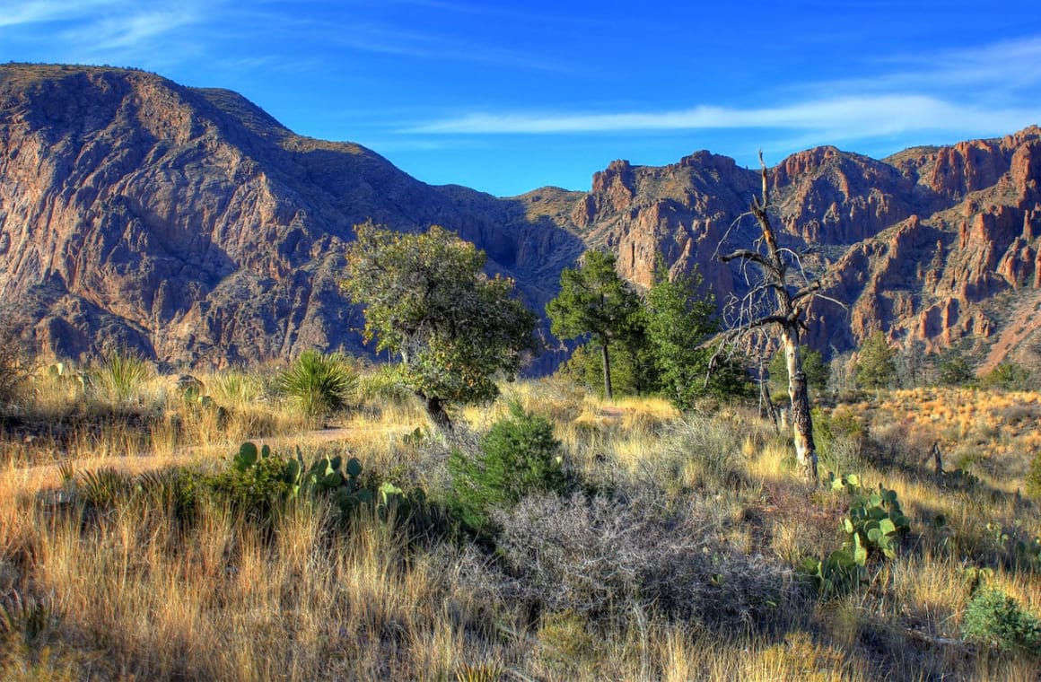 Big Bend National Park, Austin