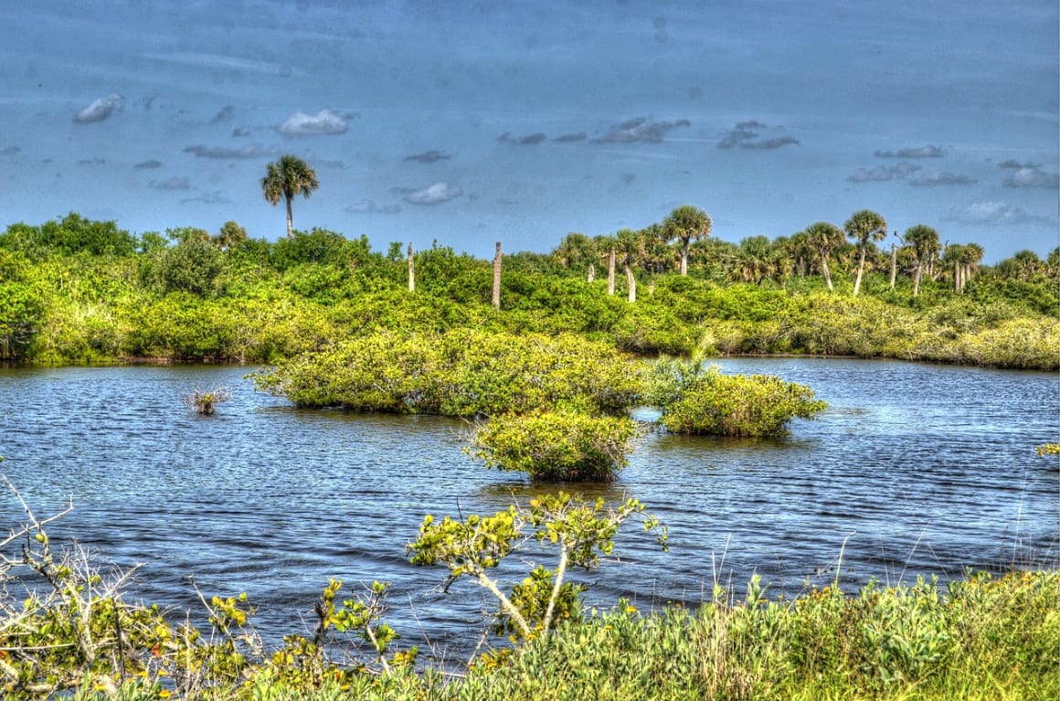 Canaveral National Seashore, Florida