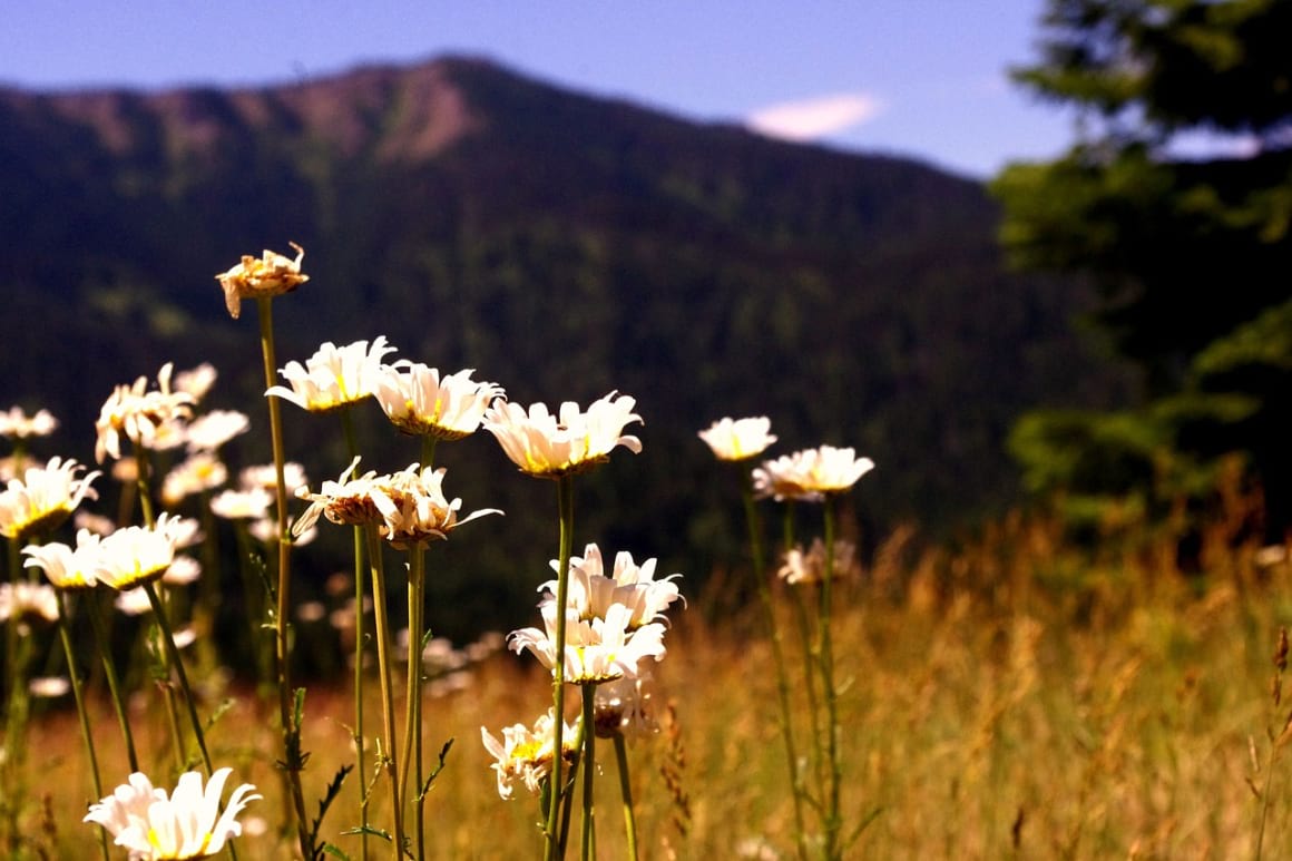 Hiawatha National Forest, Michigan