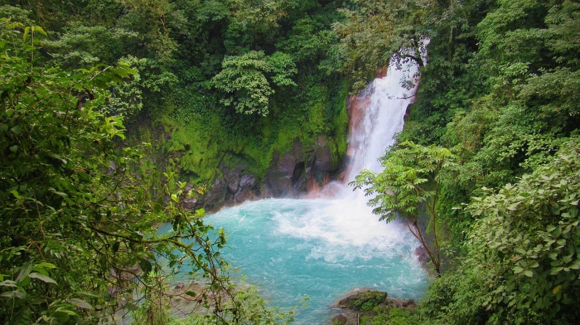Rio Celeste Waterfall Hike in Tenorio Volcano National Park