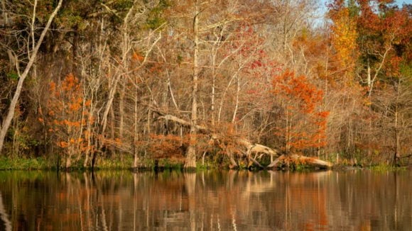 RV Houston Big Thicket Preserve