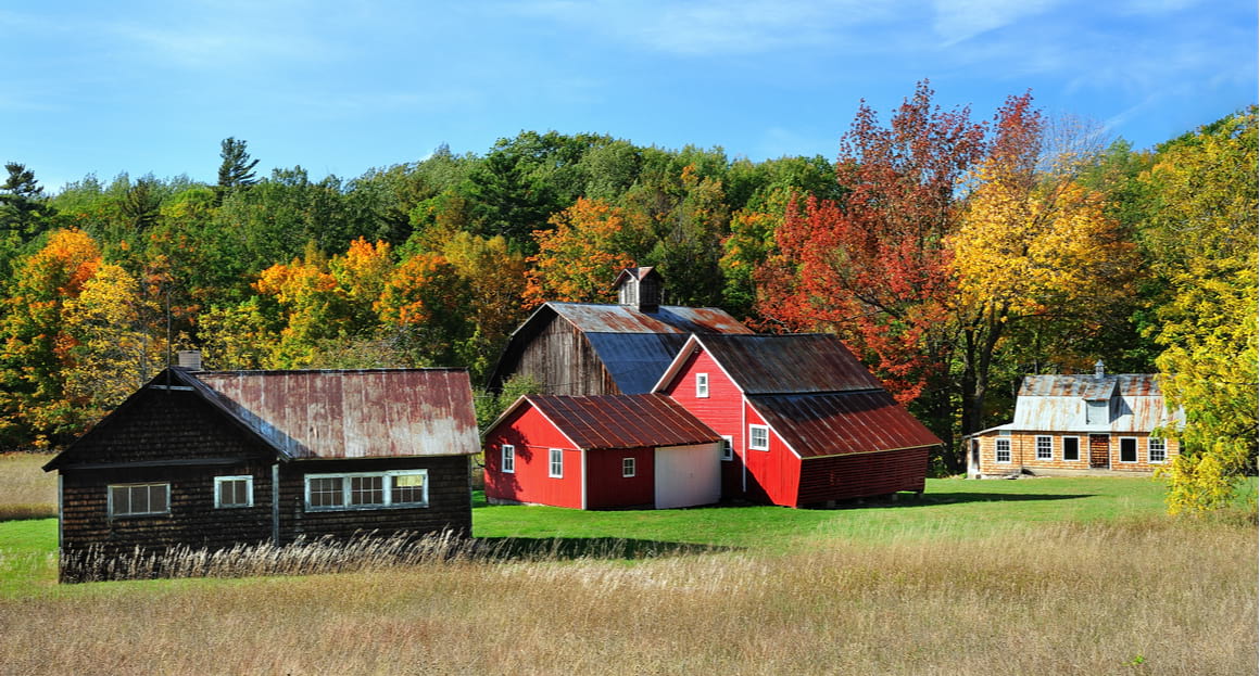 Rural houses in Michigan, USA