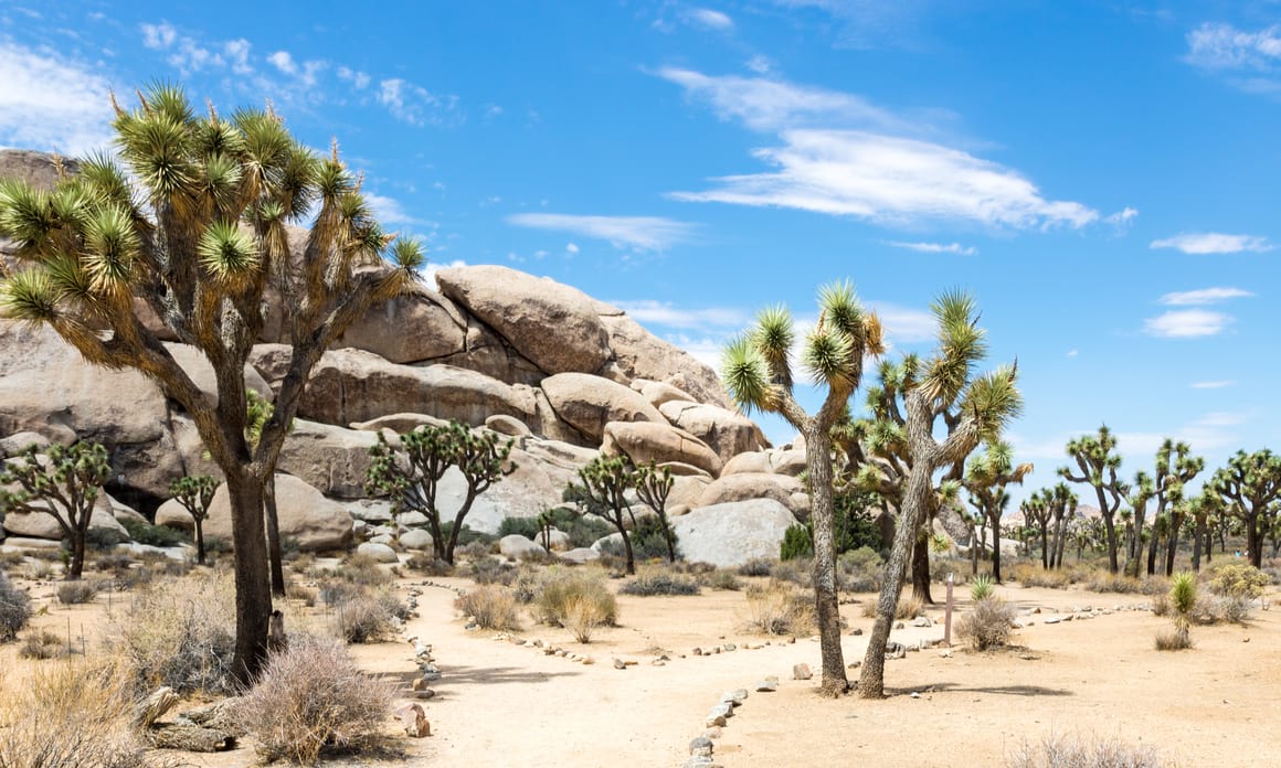 Joshua Tree National Park