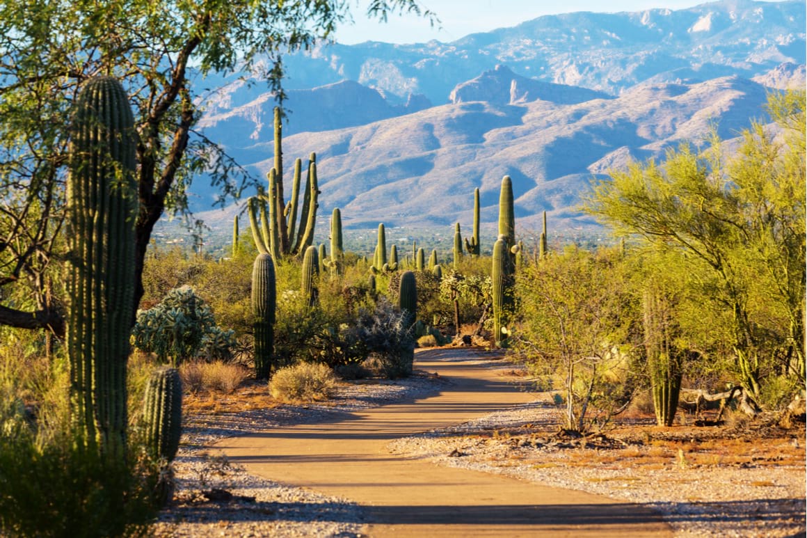 Saguaro National Park, Phoenix