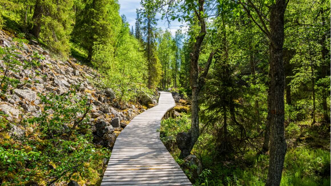 Summit of Ukko Luosto Fell Most Beautiful Hike in Finland