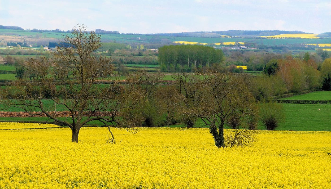 Stroud, The Cotswolds